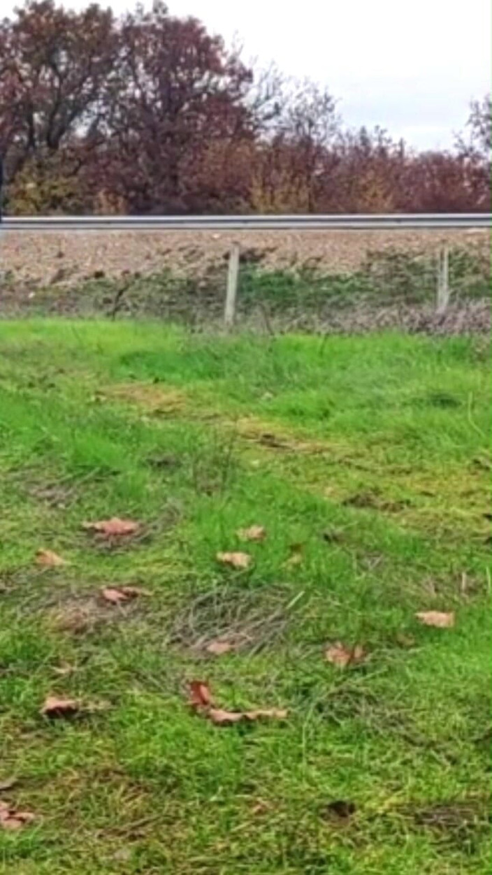 Za Za: 노예 소녀를 처벌해