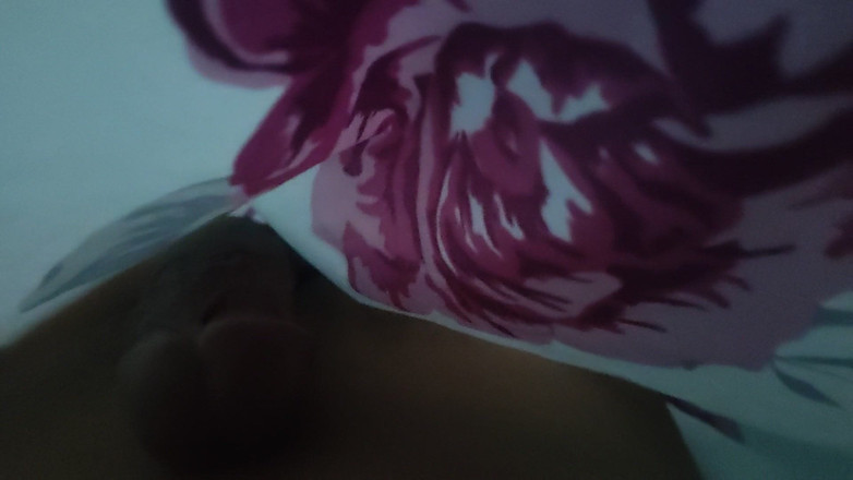 master_baetor: 毯子里的百叶窗