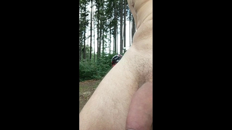 kickerscooter: Between the Beeches: Rough Exhibition on Bare Wood