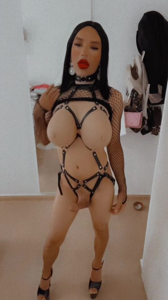 Sissy Slut Brianna: मुझे बताओ, कुतिया, वह हताश मुंह पहले कहाँ जाता है? मेरे स्तन के लिए, मेरे उभार के लिए या मेरी गांड के लिए?