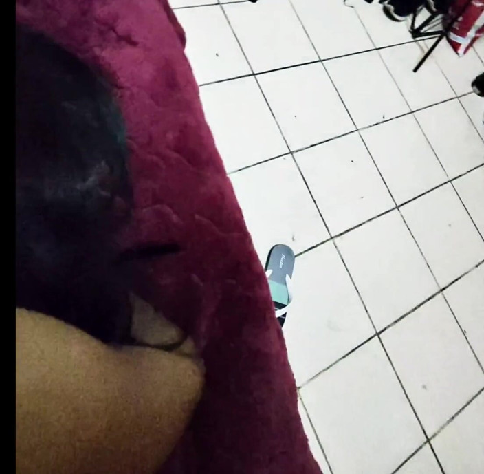Moo DBOXXX: Faster and Harder My King! with My Mature Neighbor, She...