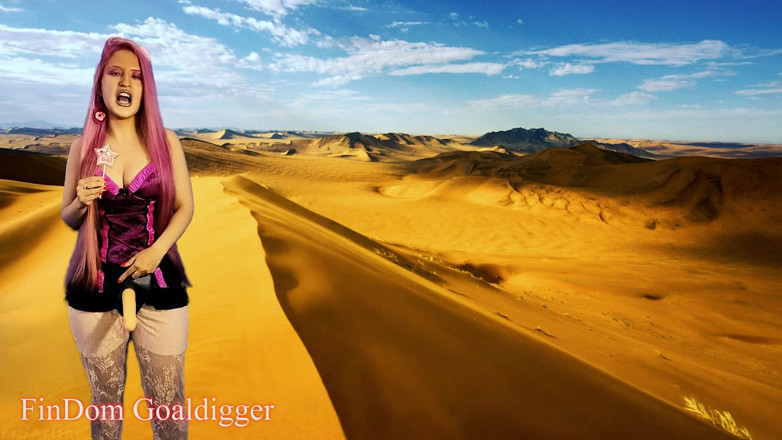 FinDom Goaldigger: Dobře trénovaná sissy děvka - část 3