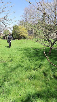 Garden Pegging