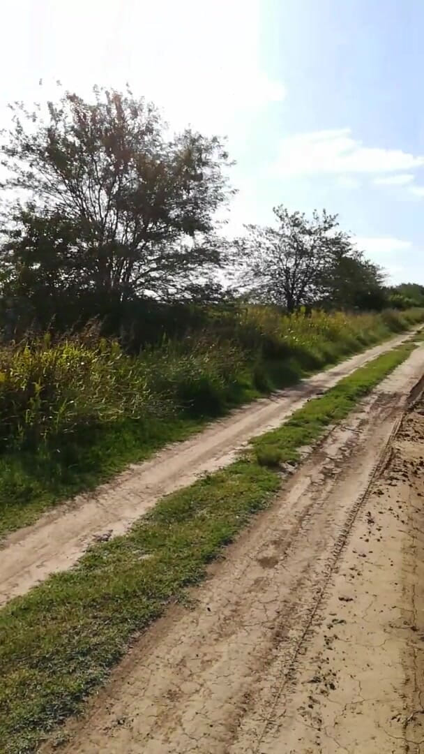 TheArtOfCum: ¡Rapidito! Masturbación con la mano, bocado y tragar en el...