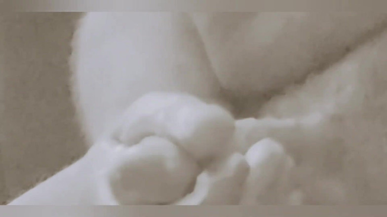 David Harden: Masturbare solo în Montreal