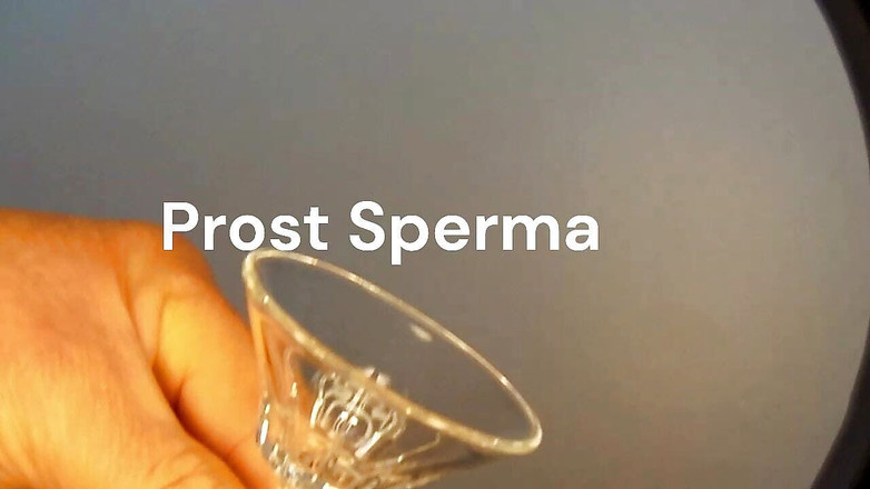 Claus Noord: 啦啦队精子