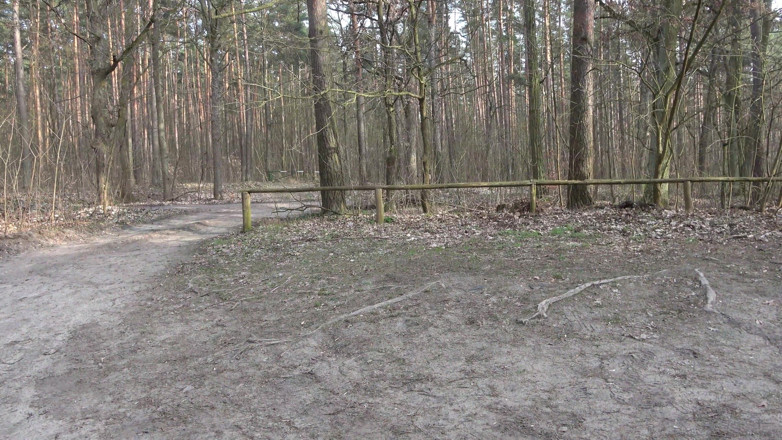 German amateur - 100% German hardcore videos: Outdoor Fun with a Horny German Slut