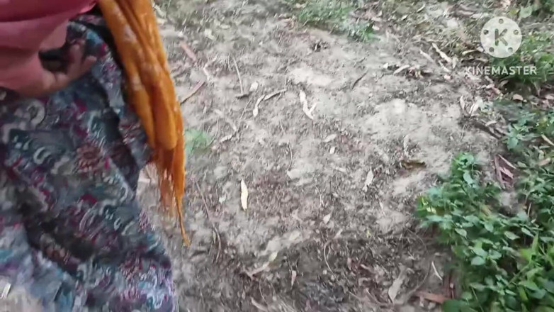Savita5343: Wheat Harvesting Female Laborer's Pussy Was Fucked in Doggy Style
