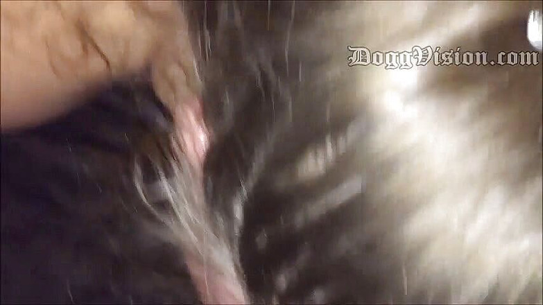 DoggVision: Lubang pantat berjembut pov dan facial