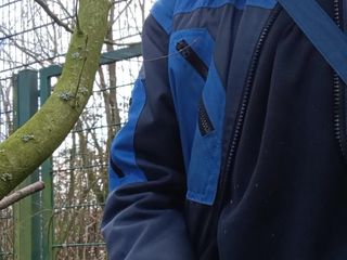 Hugohorn: Geil im busch