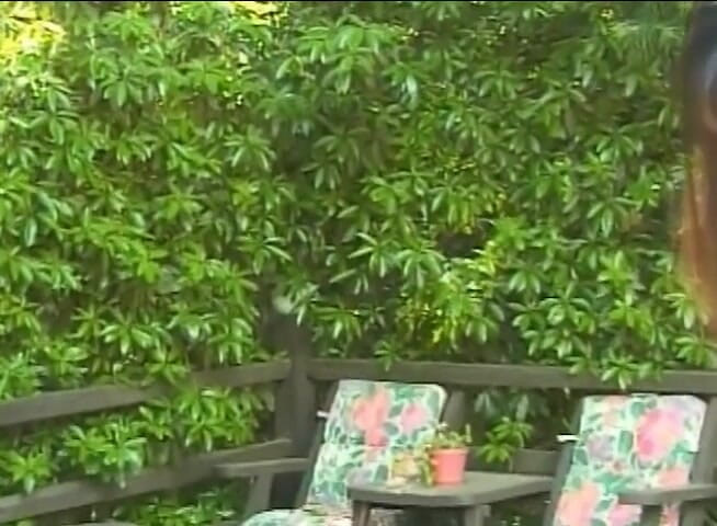 Lesbo Tube: Two hot lesbians licking pussies outside