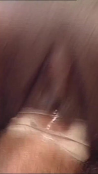 The Cock’s Wild Ride