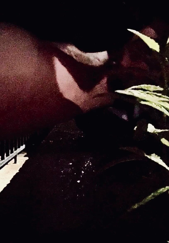 CityFemalePissMarker: Casual plas wachtend op mijn bezorgeten