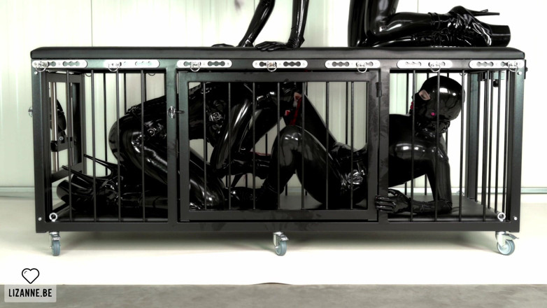 Lizanne: The Cage