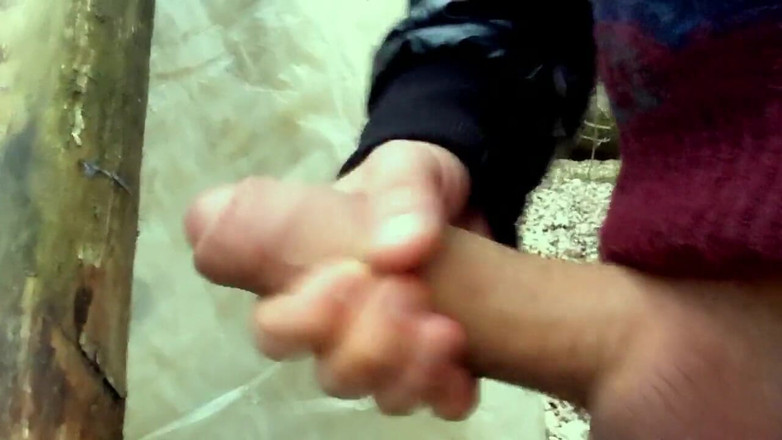 Idmir Sugary: Snel klaarkomen op de picknicktent in een bos