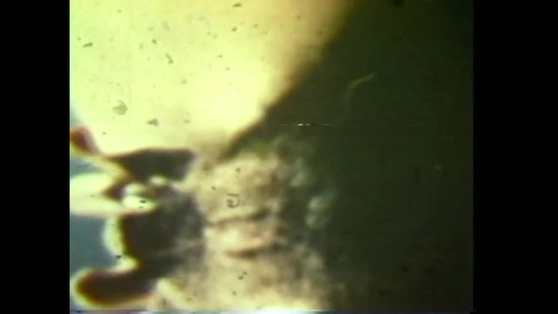 The Unforgettable: 疯狂的自慰