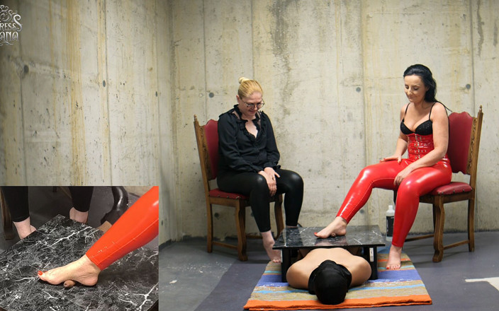 Lady Luciana Di Domizio: The Cockboard