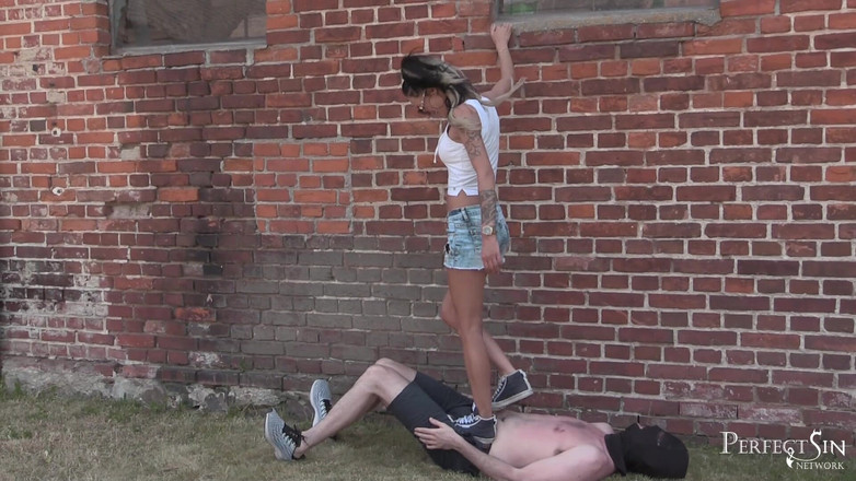 Perfect Sin Network: 厚かましさに苦しむ