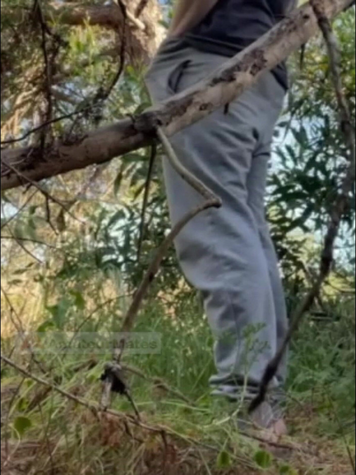 AmateurMates: Горячий Паренек Сосет И Лижет Оружку В Лесу В Любительском Видео