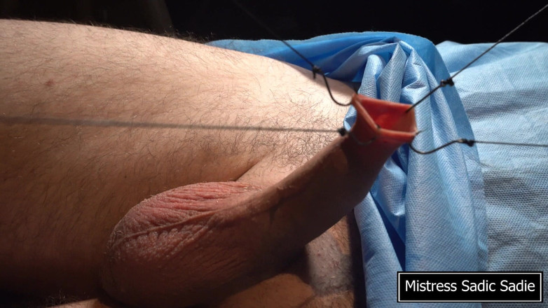 Sadic Sadie: Jehly CBT v tom nejlepším smyslu!