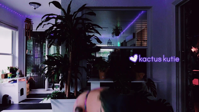 kactus kutie: Przymierzając kute klothes, gdy na zewnątrz robi się ciemno