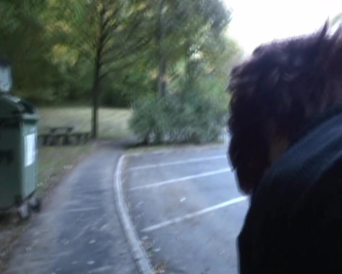 Popp Sylvie: Outdoor blowjob and fucking
