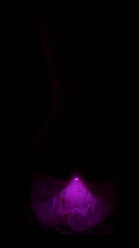 You Can Chew on My Bubble Gum Anytime You Want