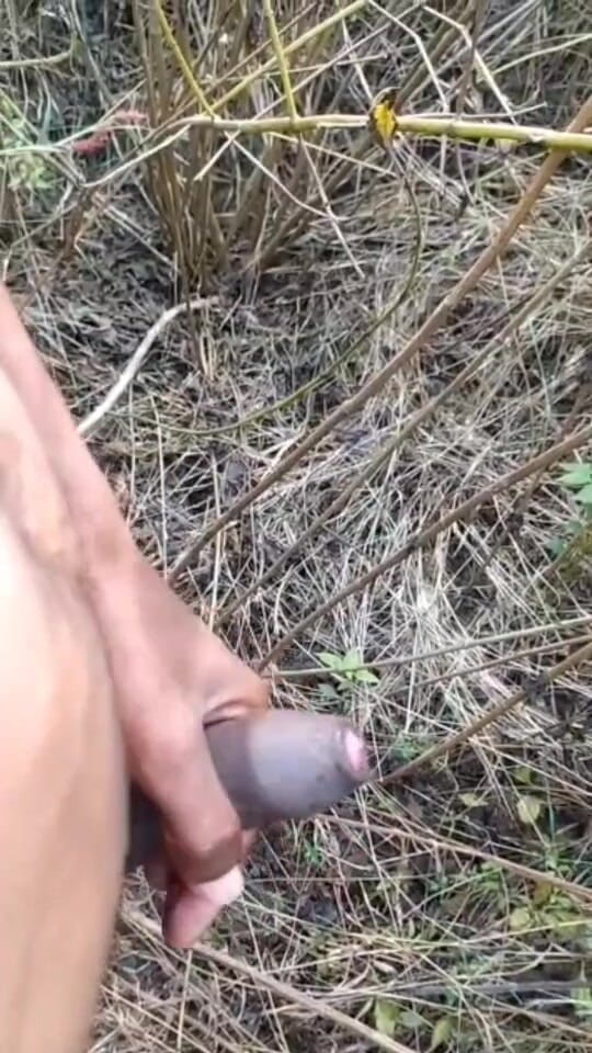 Desi Tits: Outdoor Cumshot Complaition in Jungle