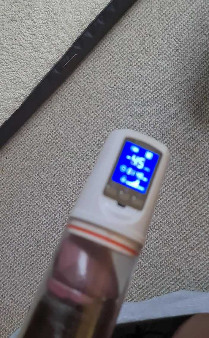 Amadeus: 午餐时间泵