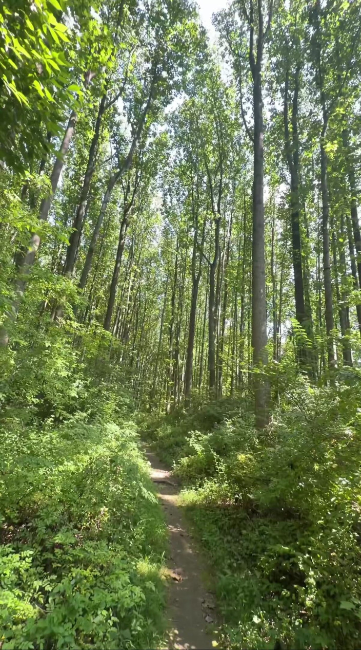 A3: Tattooed Slut Takes a Break on the Trail to Suck...