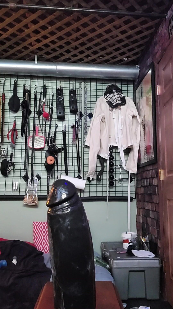 City hog: 疲れた尻を変える方法