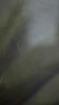 Hear Her Admit That She's Daddy Bitch