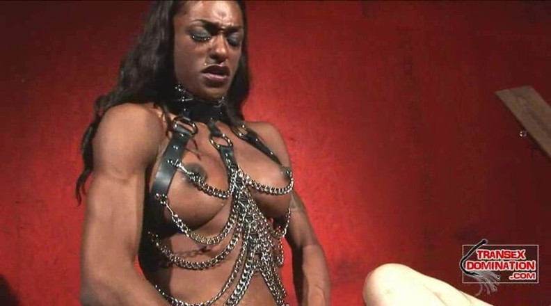 Transex domination: Natalia Coxxx Takes Control