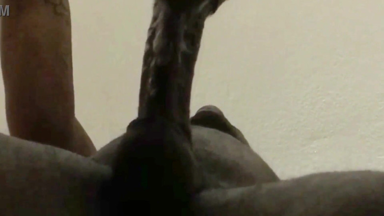 Wildwood21519: Close up Deepthroat