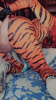 Butt girl Tigra time sexy rodada maricas bunda Tiffany Ciskiss