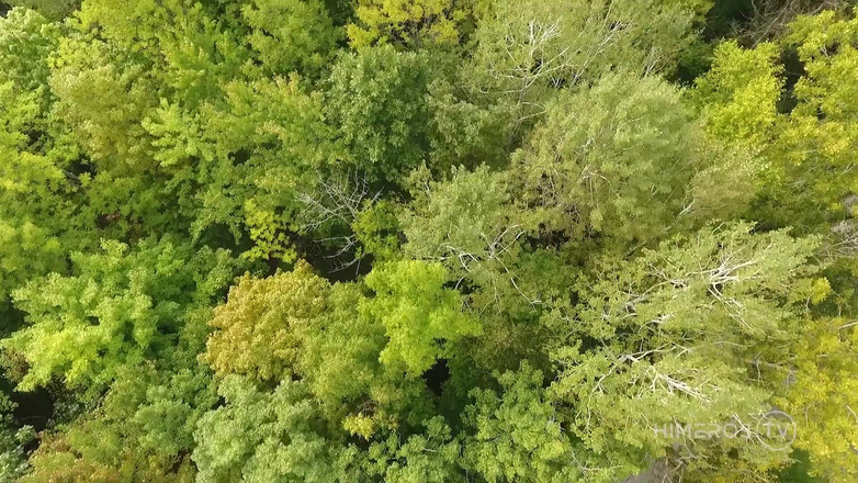 Himeros.tv: Глибокий кінець