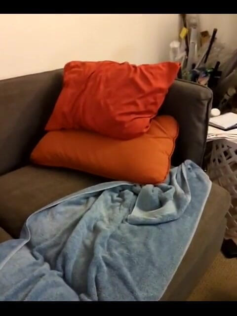 Benji Bastian: 30. června Live Jerkoff Show