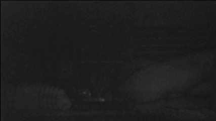 Jollyfuckingoldman: 창녀와 바람을 피우는 남편을 붙잡은 마누라