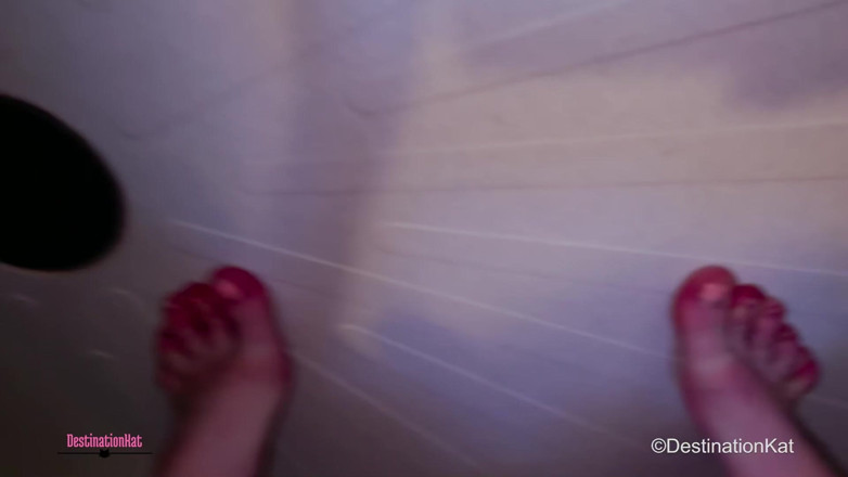 Destination Kat: Prim-planuri ale compilației cu pișat