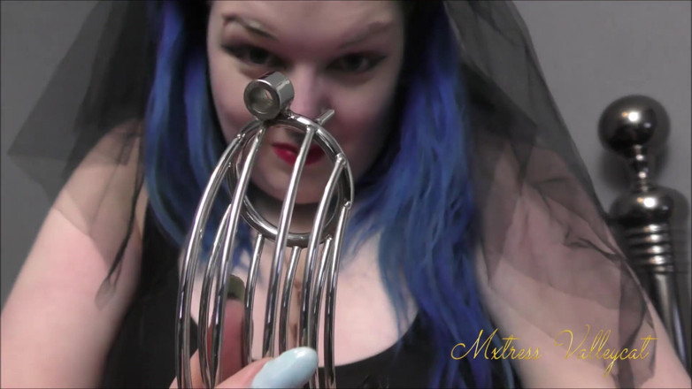 Mxtress Valleycat: Never mind your bollocks... here's your chastity device