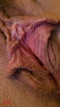 Let Me Show You My Butterfly