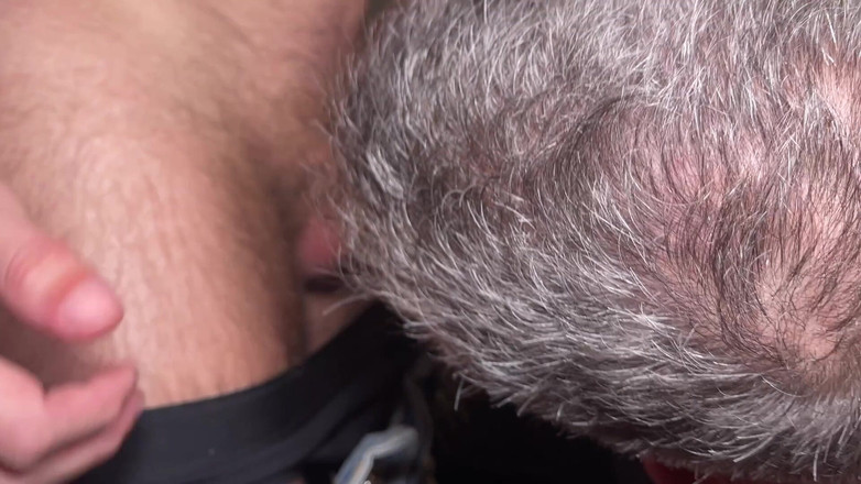 Hot chubby bottom: पिपरवर्ट के आदेश के तहत