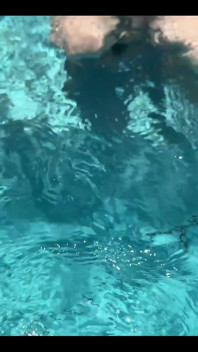 Dangerous Creature in the Water