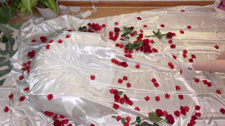 Destination Kat: Bts 로즈 사진 세트 및 비디오 배경 잡음 때문에 음소거.