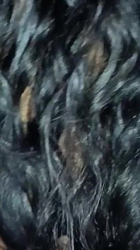 Indian Sexy Girl HD Hot 4K Videos Housewife