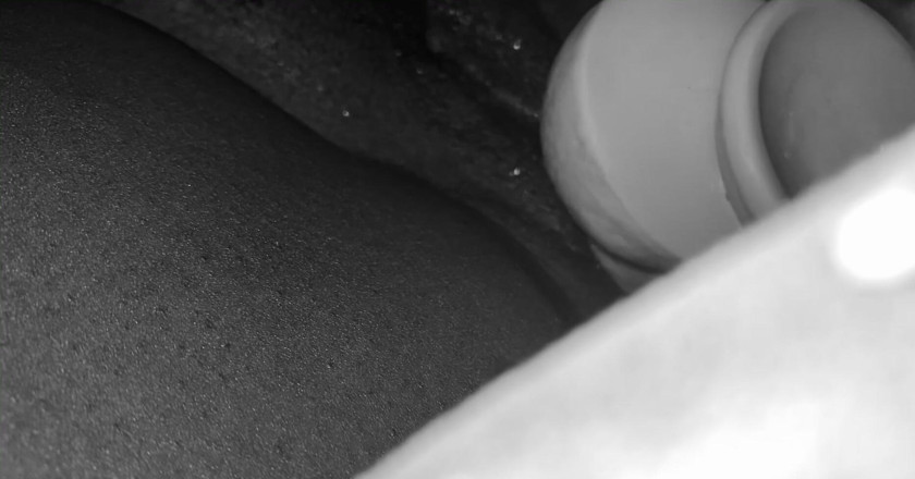 Wap12-pum: Solo Play