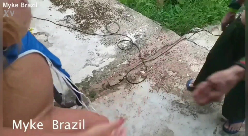Myke Brazil: Ines Ventura Me Contratou Para Pintar a Casa De Só...