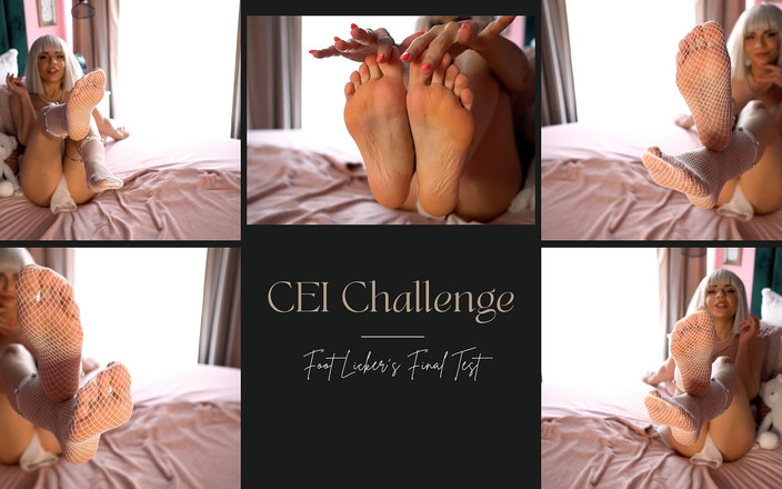 LexandLev: Wyzwanie CEI