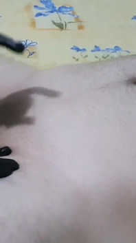Hot Femdom Urethral Sounding Slave Cock with Huge Dilator, CBT, Latex Gloves Handjob, Ruined Orgasm
