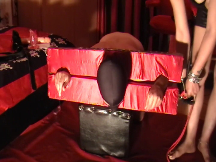 SassyTiff: Slave punishment!